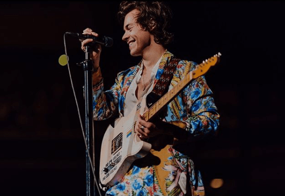 Harry Styles hobbies