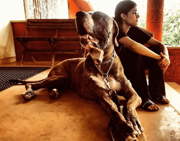 Atul Agnihotri daughter