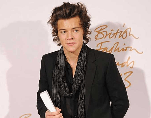Harry Styles awards