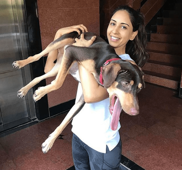 Priya Runchal Love pets