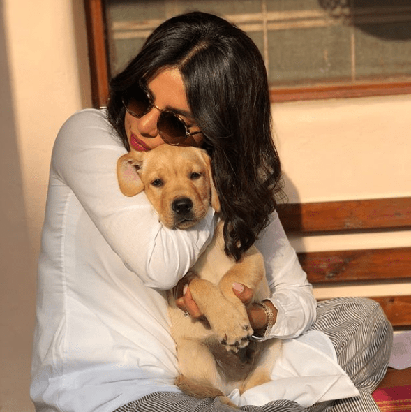 Priyanka Chopra like pets