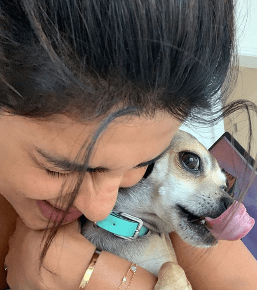 Priyanka Chopra like pets