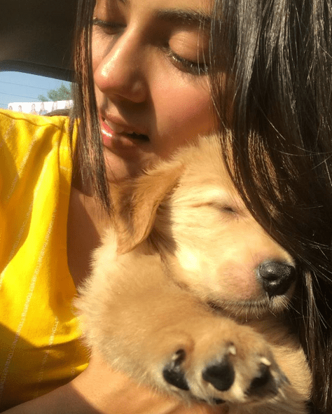 Rittika Sen like pets